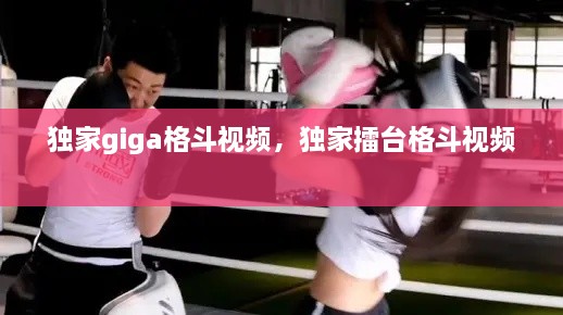 獨家giga格斗視頻，獨家擂臺格斗視頻 
