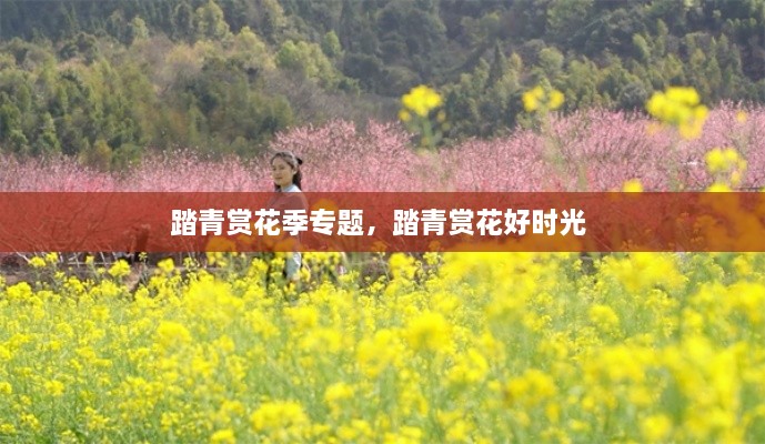 解決方案 第14頁(yè)