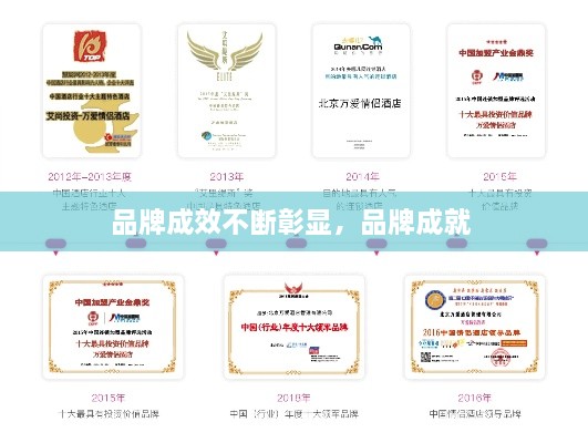 品牌成效不斷彰顯，品牌成就 