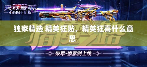 獨家精選 精英狂貼，精英狂喜什么意思 