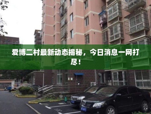 愛(ài)博二村最新動(dòng)態(tài)揭秘，今日消息一網(wǎng)打盡！