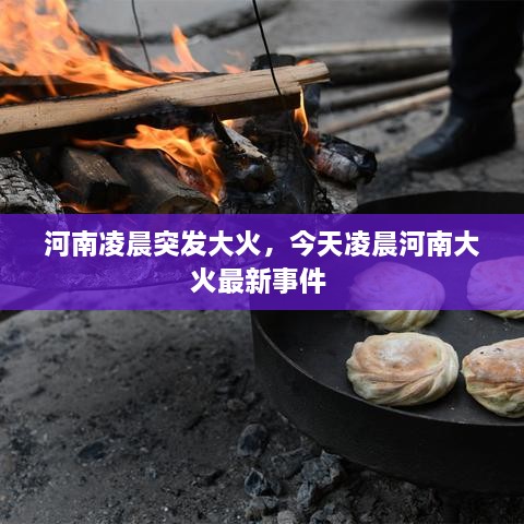 河南凌晨突發(fā)大火，今天凌晨河南大火最新事件 