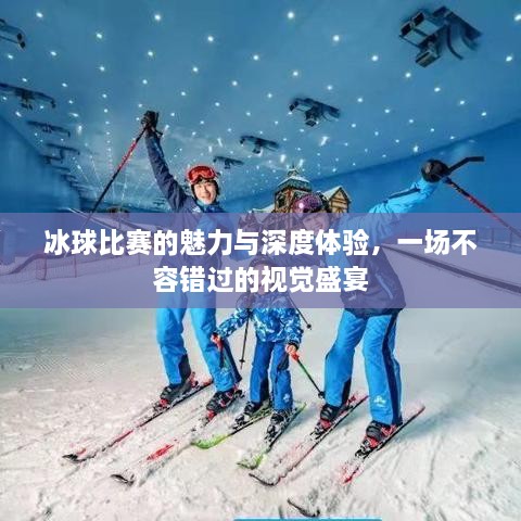 冰球比賽的魅力與深度體驗(yàn)，一場(chǎng)不容錯(cuò)過(guò)的視覺(jué)盛宴