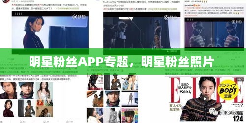 明星粉絲APP專題，明星粉絲照片 
