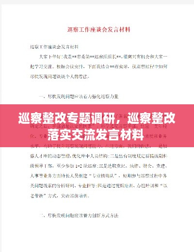 巡察整改專題調(diào)研，巡察整改落實交流發(fā)言材料 