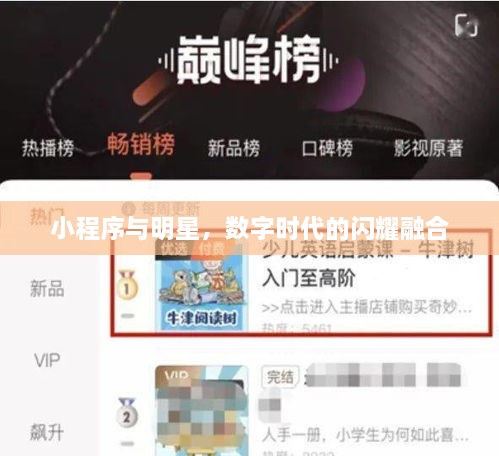 小程序與明星，數(shù)字時(shí)代的閃耀融合