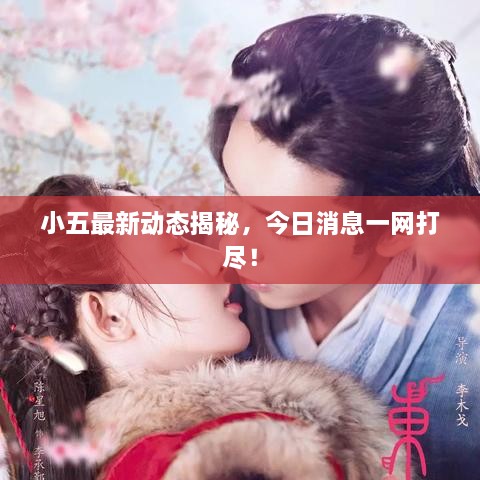 小五最新動(dòng)態(tài)揭秘，今日消息一網(wǎng)打盡！