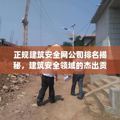 正規(guī)建筑安全網(wǎng)公司排名揭秘，建筑安全領(lǐng)域的杰出貢獻(xiàn)者