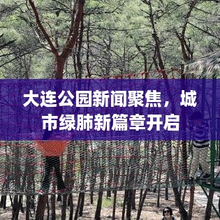 大連公園新聞聚焦，城市綠肺新篇章開啟