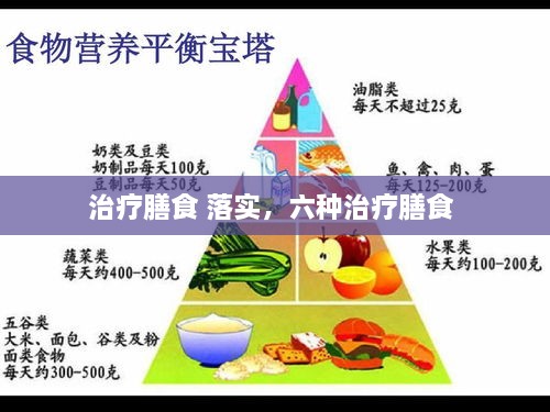 治療膳食 落實，六種治療膳食 