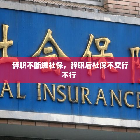 辭職不斷繳社保，辭職后社保不交行不行 