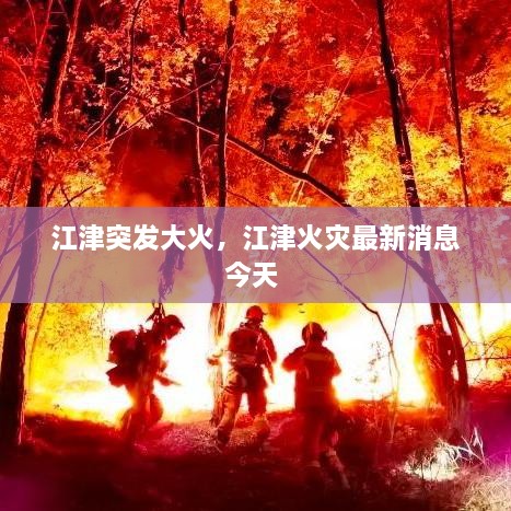 產(chǎn)品展示 第9頁