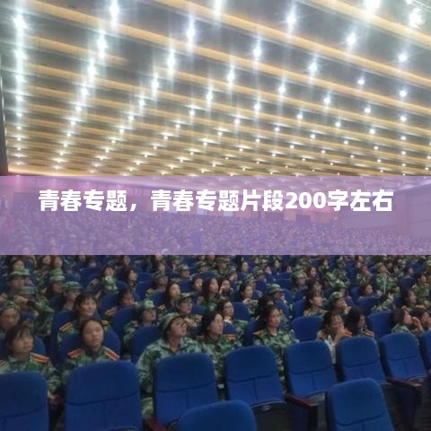 青春專題，青春專題片段200字左右 