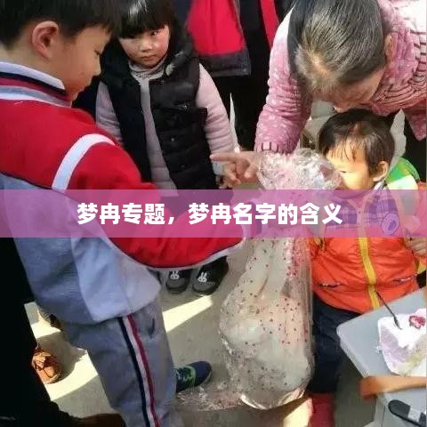 夢冉專題，夢冉名字的含義 