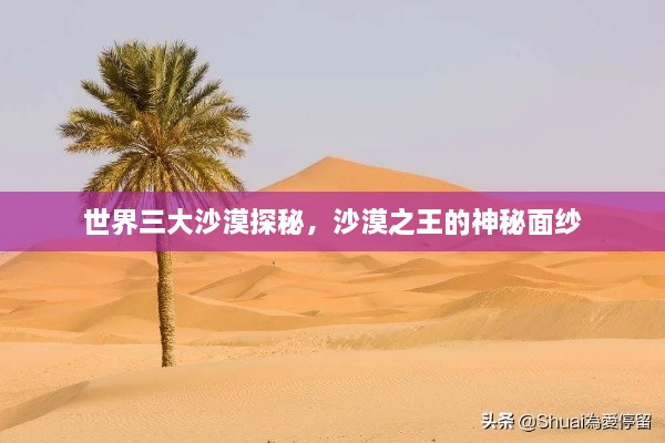 世界三大沙漠探秘，沙漠之王的神秘面紗