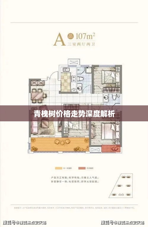 青槐樹價格走勢深度解析