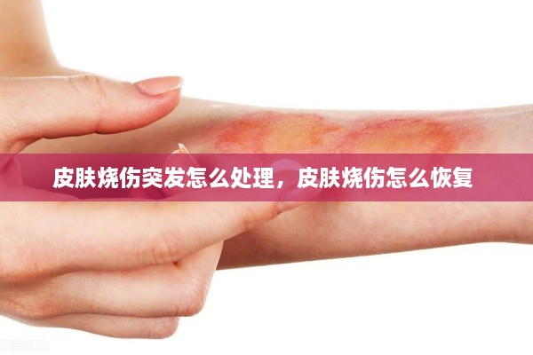 產(chǎn)品展示 第8頁