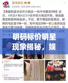 明碼標價明星現(xiàn)象揭秘，娛樂圈的新挑戰(zhàn)與觀察