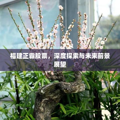 福建正霸股票，深度探索與未來前景展望