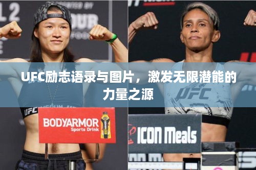 UFC勵志語錄與圖片，激發(fā)無限潛能的力量之源