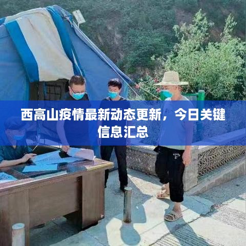 西高山疫情最新動態(tài)更新，今日關鍵信息匯總