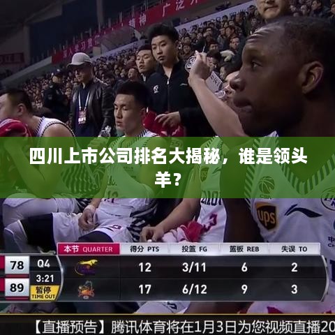 四川上市公司排名大揭秘，誰是領頭羊？