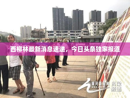 西柳林最新消息速遞，今日頭條獨(dú)家報(bào)道