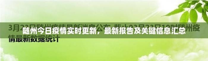 隨州今日疫情實時更新，最新報告及關(guān)鍵信息匯總