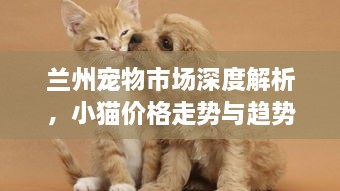 蘭州寵物市場深度解析，小貓價(jià)格走勢與趨勢探尋