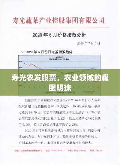 壽光農(nóng)發(fā)股票，農(nóng)業(yè)領(lǐng)域的耀眼明珠