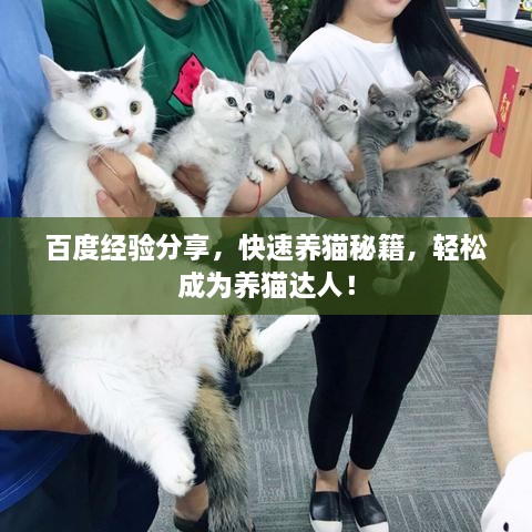 百度經(jīng)驗(yàn)分享，快速養(yǎng)貓秘籍，輕松成為養(yǎng)貓達(dá)人！