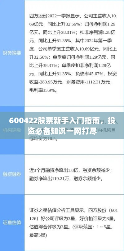 600422股票新手入門指南，投資必備知識(shí)一網(wǎng)打盡