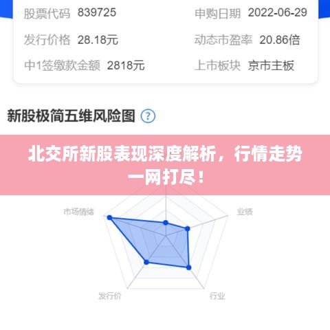 北交所新股表現深度解析，行情走勢一網打盡！