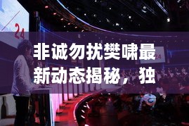 非誠勿擾樊嘯最新動態(tài)揭秘，獨家爆料吸引眼球！