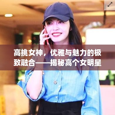 高挑女神，優(yōu)雅與魅力的極致融合——揭秘高個女明星的魅力風采
